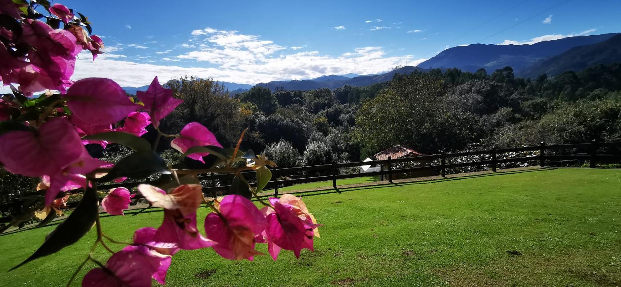 El Corral Del Acebo Guest House Нуева де Лянес Екстериор снимка